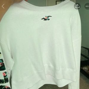 Hollister Crewneck